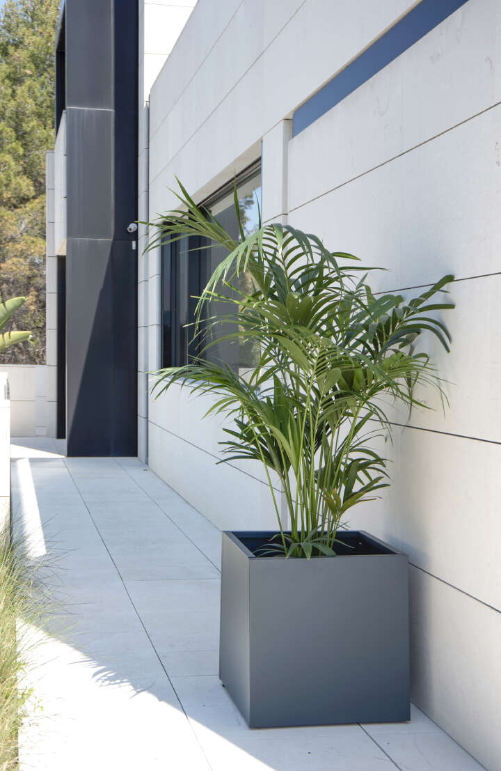 herstera Pflanzkübel Cube